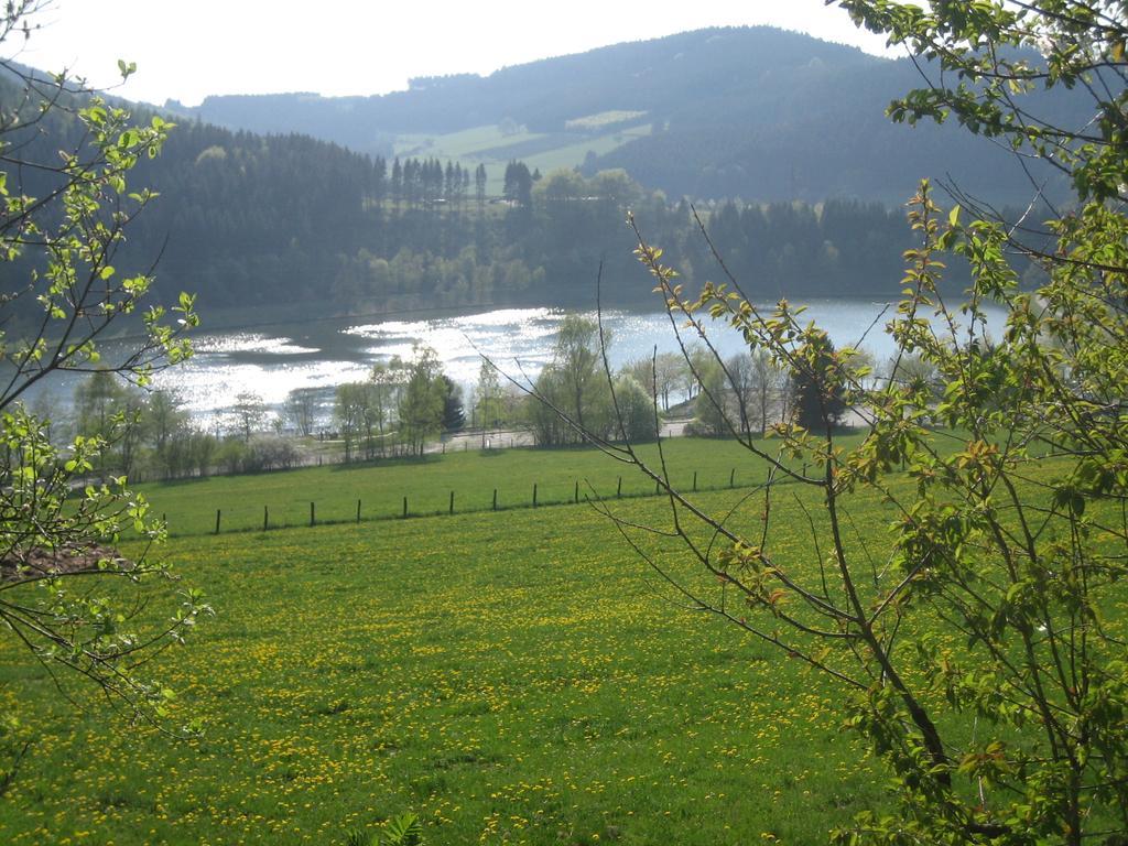 Ferienwohnung Inge Steinrücken Winterberg Exterior foto